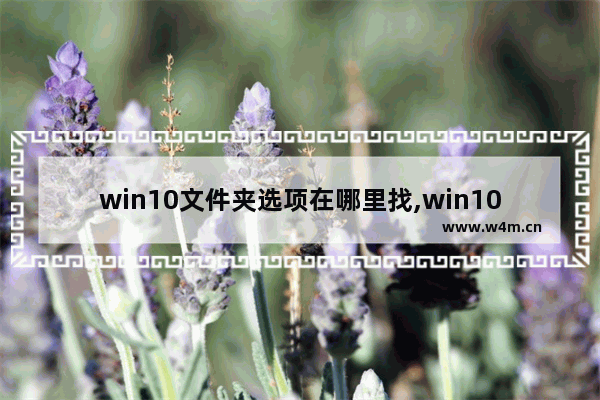 win10文件夹选项在哪里找,win10系统文件夹选项在哪里