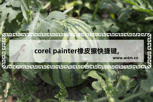 corel painter橡皮擦快捷键,corel painter语言设置