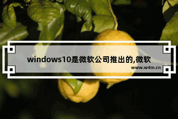 windows10是微软公司推出的,微软订阅制