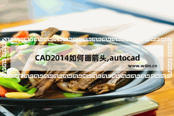 CAD2014如何画箭头,autocad直线加箭头