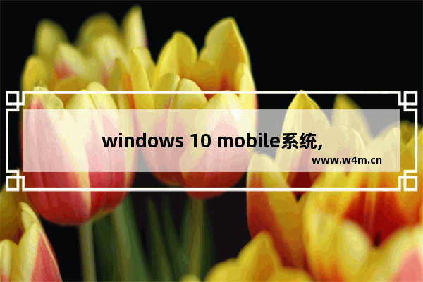 windows 10 mobile系统,Windows 10 Mobile手机