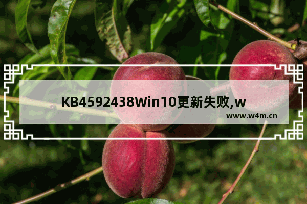 KB4592438Win10更新失败,win10更新KB5003173后bug