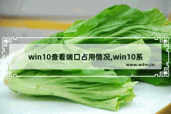 win10查看端口占用情况,win10系统如何查看端口