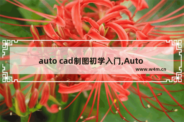 auto cad制图初学入门,Auto cad教程