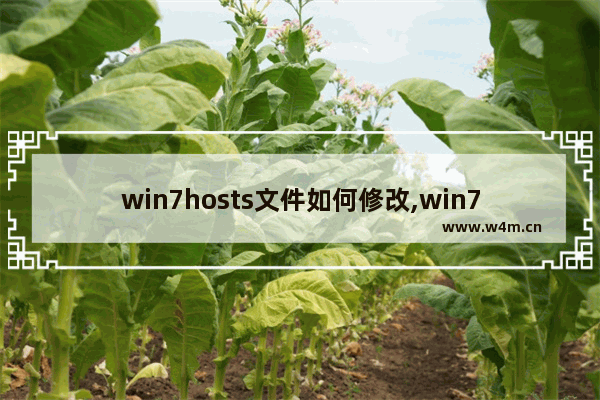 win7hosts文件如何修改,win7 hosts文件修改无法保存