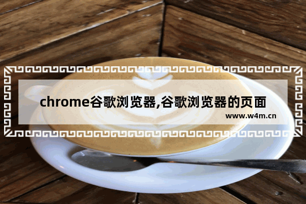 chrome谷歌浏览器,谷歌浏览器的页面