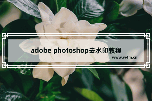 adobe photoshop去水印教程图解,pscs2怎么去水印