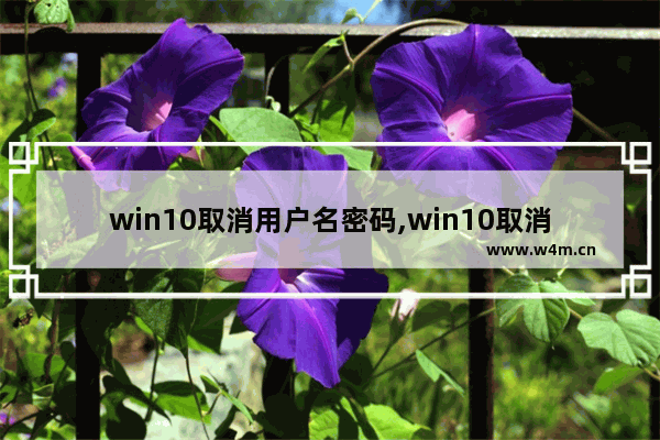 win10取消用户名密码,win10取消用户密码