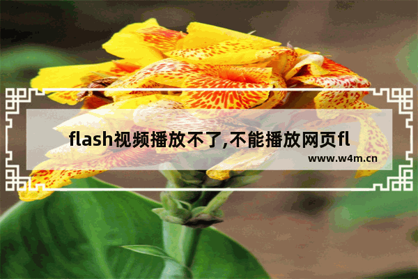 flash视频播放不了,不能播放网页flash视频怎么办