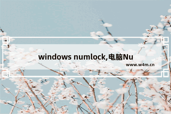 windows numlock,电脑NumLock