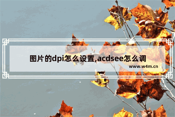 图片的dpi怎么设置,acdsee怎么调整图片分辨率