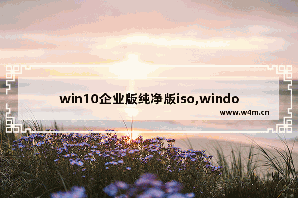 win10企业版纯净版iso,windows10企业版iso