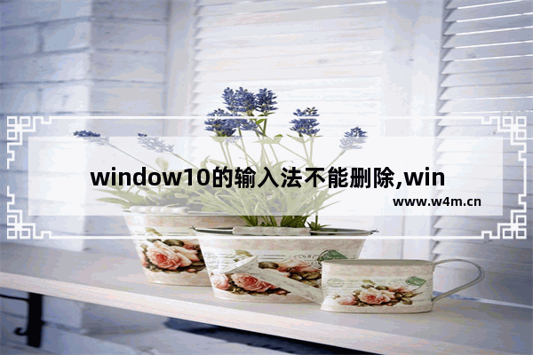 window10的输入法不能删除,win10删除不用的输入法