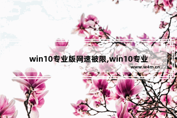 win10专业版网速被限,win10专业版网络受限