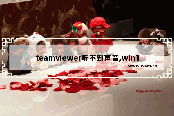 teamviewer听不到声音,win10 teamviewer用不了