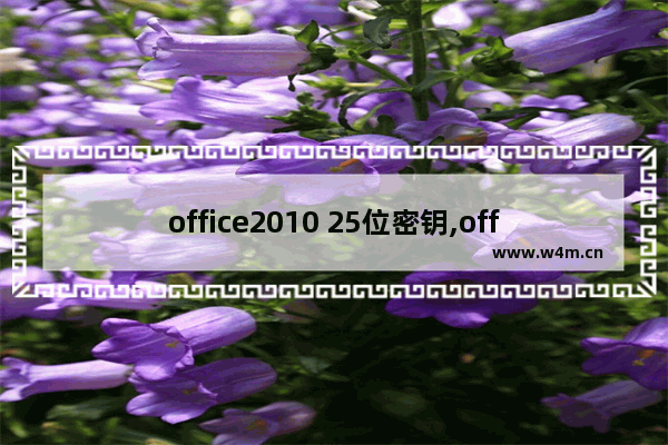 office2010 25位密钥,office201025个字符的产品密钥