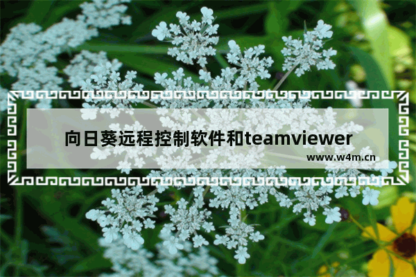 向日葵远程控制软件和teamviewer,除了向日葵和teamviewer外还有什么远程软件