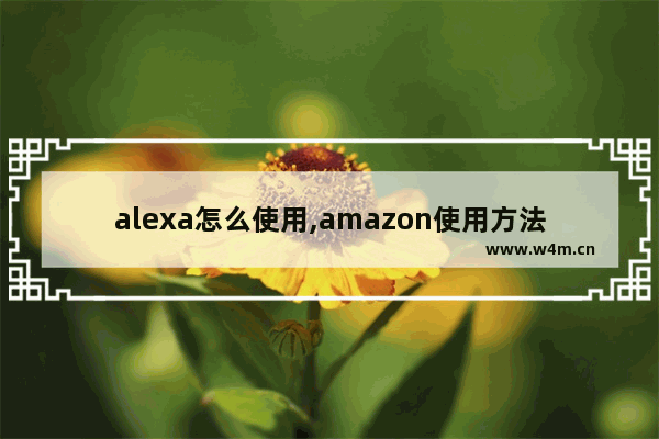 alexa怎么使用,amazon使用方法