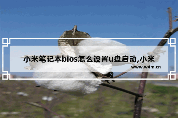 小米笔记本bios怎么设置u盘启动,小米电脑bios启动键