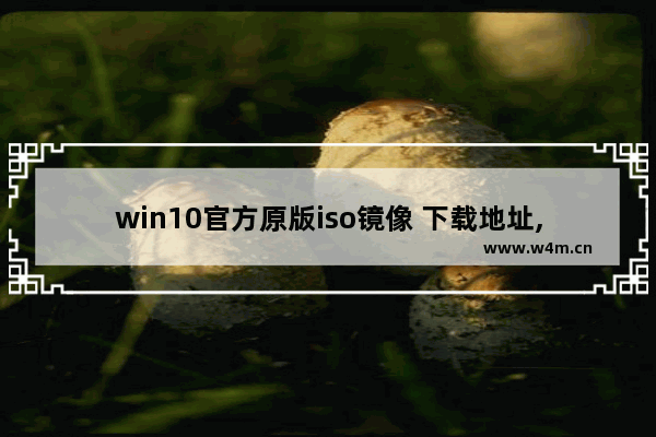 win10官方原版iso镜像 下载地址,windows10专业版iso镜像下载