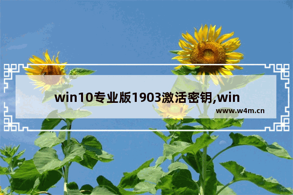 win10专业版1903激活密钥,win10密钥激活码大全2020_1