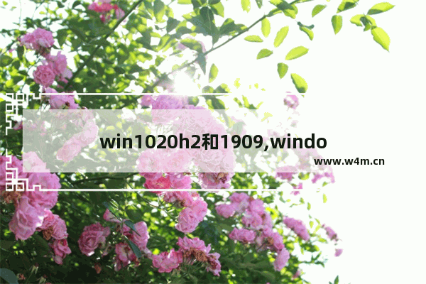 win1020h2和1909,windows1020h2和1909