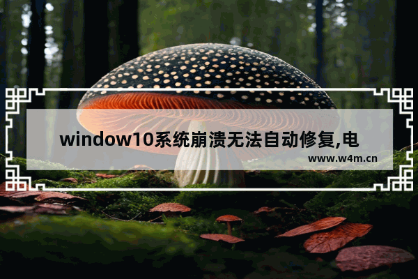 window10系统崩溃无法自动修复,电脑win 10系统崩溃了怎么修复