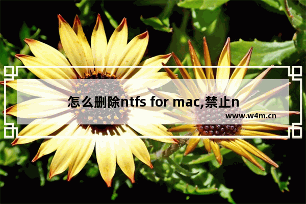 怎么删除ntfs for mac,禁止ntfs for mac扩展系统