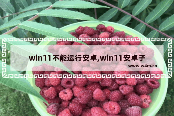 win11不能运行安卓,win11安卓子系统打不开