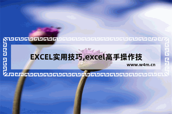 EXCEL实用技巧,excel高手操作技巧