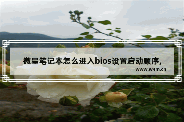 微星笔记本怎么进入bios设置启动顺序,微星bios优先启动项