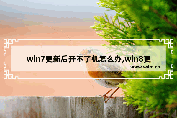 win7更新后开不了机怎么办,win8更新后进不去系统