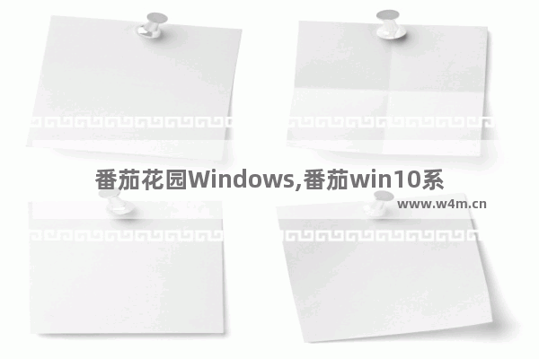 番茄花园Windows,番茄win10系统安装