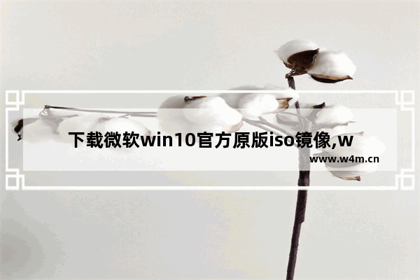 下载微软win10官方原版iso镜像,win10最新版本镜像