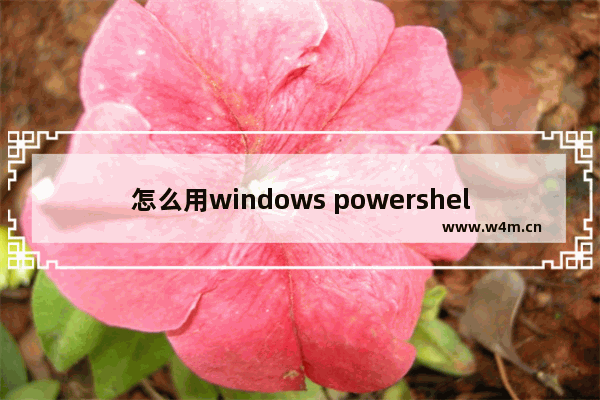 怎么用windows powershell添加应用程序,windows10打开powershell