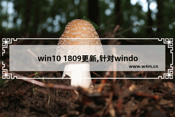 win10 1809更新,针对window10的功能更新,版本1909