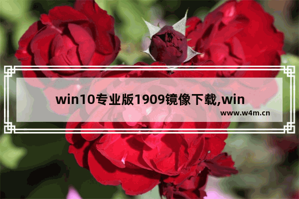 win10专业版1909镜像下载,windows10 1909镜像_1