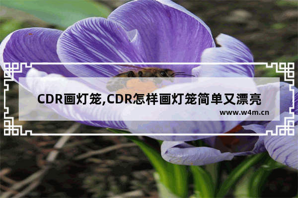 CDR画灯笼,CDR怎样画灯笼简单又漂亮