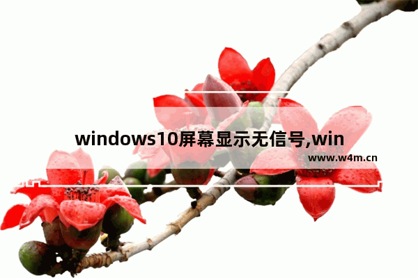 windows10屏幕显示无信号,win10 无信号输入