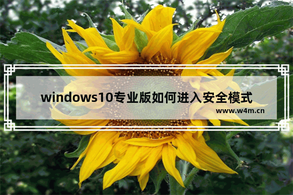 windows10专业版如何进入安全模式,win10怎么进入安全模式——win10专业版