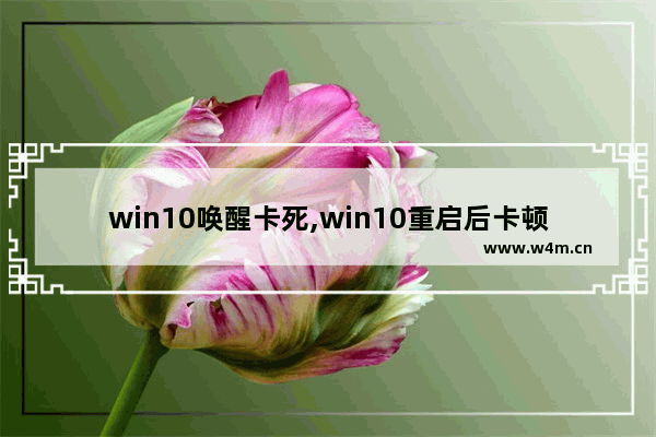 win10唤醒卡死,win10重启后卡顿