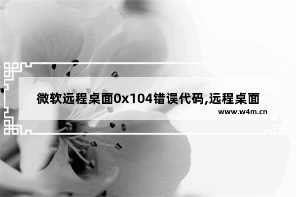 微软远程桌面0x104错误代码,远程桌面错误代码0x204