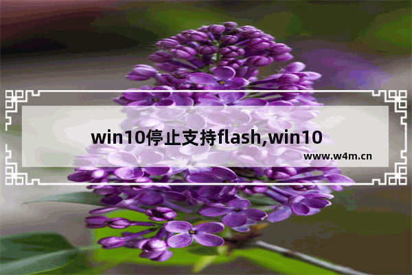 win10停止支持flash,win10自带浏览器flash无法正常运行