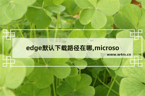 edge默认下载路径在哪,microsoft edge默认下载路径是什么