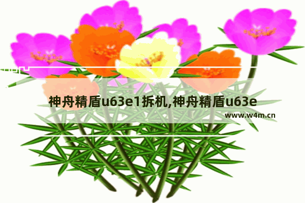 神舟精盾u63e1拆机,神舟精盾u63e1能升级配置嘛