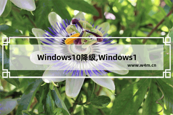 Windows10降级,Windows11降级Windows10