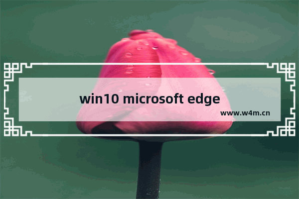 win10 microsoft edge无法打开,microsoft edge如何打开