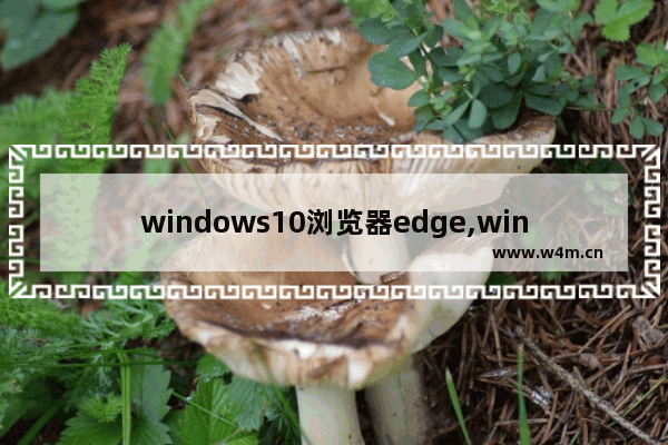 windows10浏览器edge,windows10自带的edge浏览器