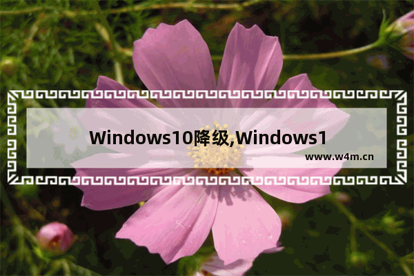 Windows10降级,Windows11降级Windows10