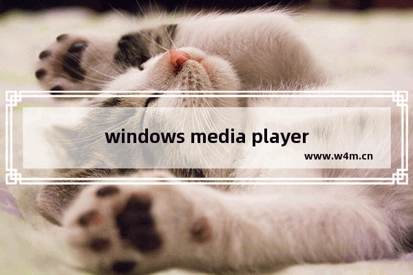 windows media player运行失败,windows media player播放时遇到问题